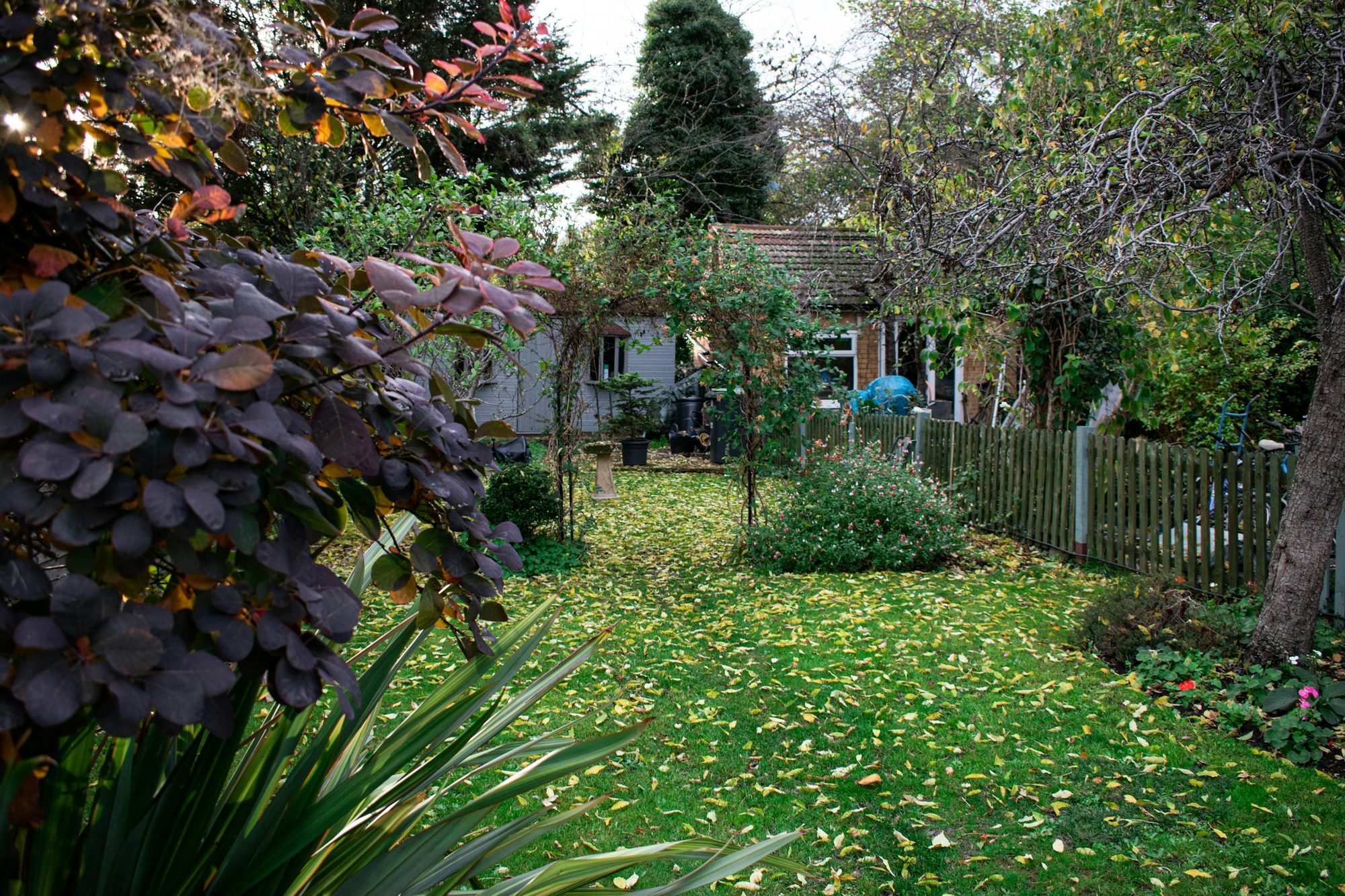 Residential backyard with grass, trees, fence, and room for a second structure